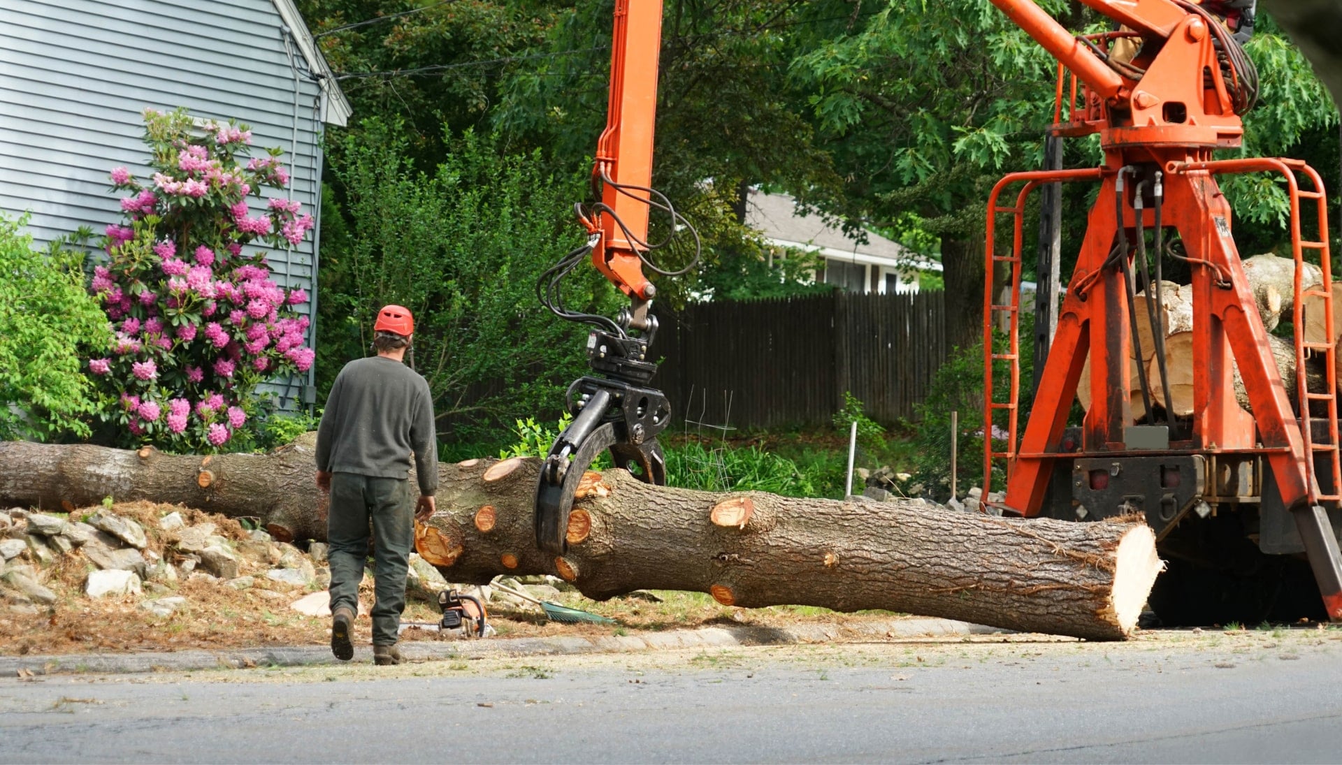 Top rated tree removal services Broward County, Florida